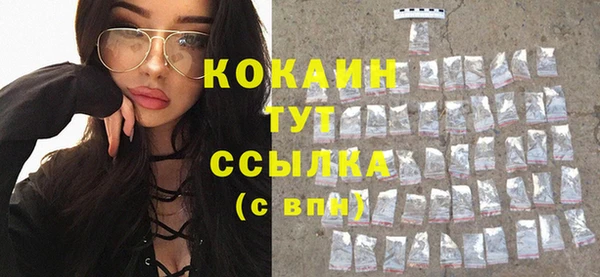 спиды Богородицк