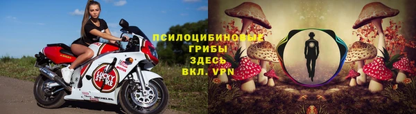 спиды Богородицк