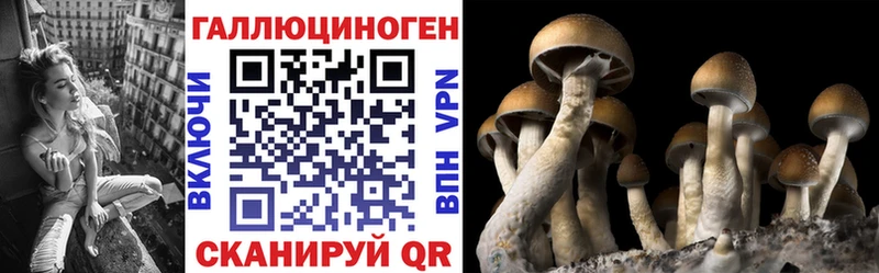 shop состав  Волосово  Галлюциногенные грибы GOLDEN TEACHER 